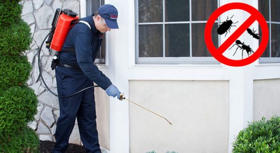 Sarayköy Pire İlaçlama böcek ilaçlama ve haşere kontrolü — ilaclama-tr.com